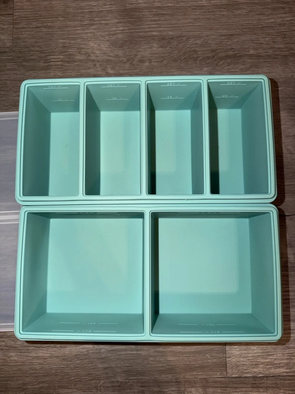 🩷Firm Price🩷2 Silicone Meal Prep Freezer Tray with lids - Mint Green
